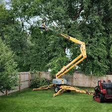 Lawn Irrigation Installation and Maintenance in York, PA